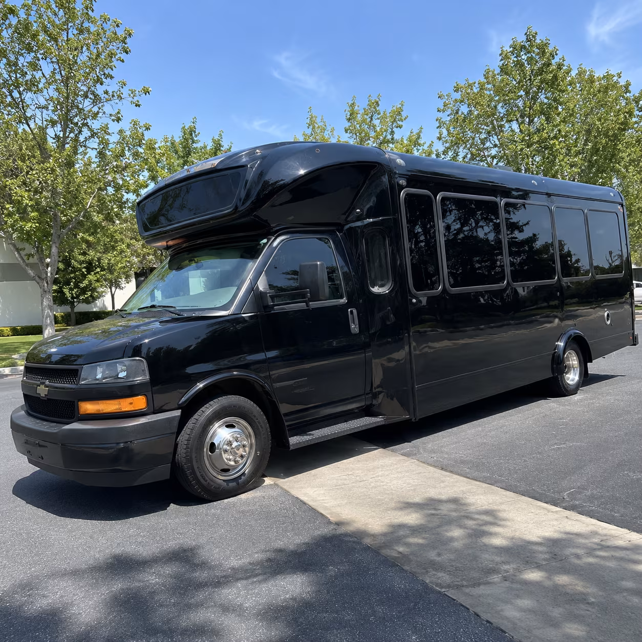 lehi 15 passenger party bus