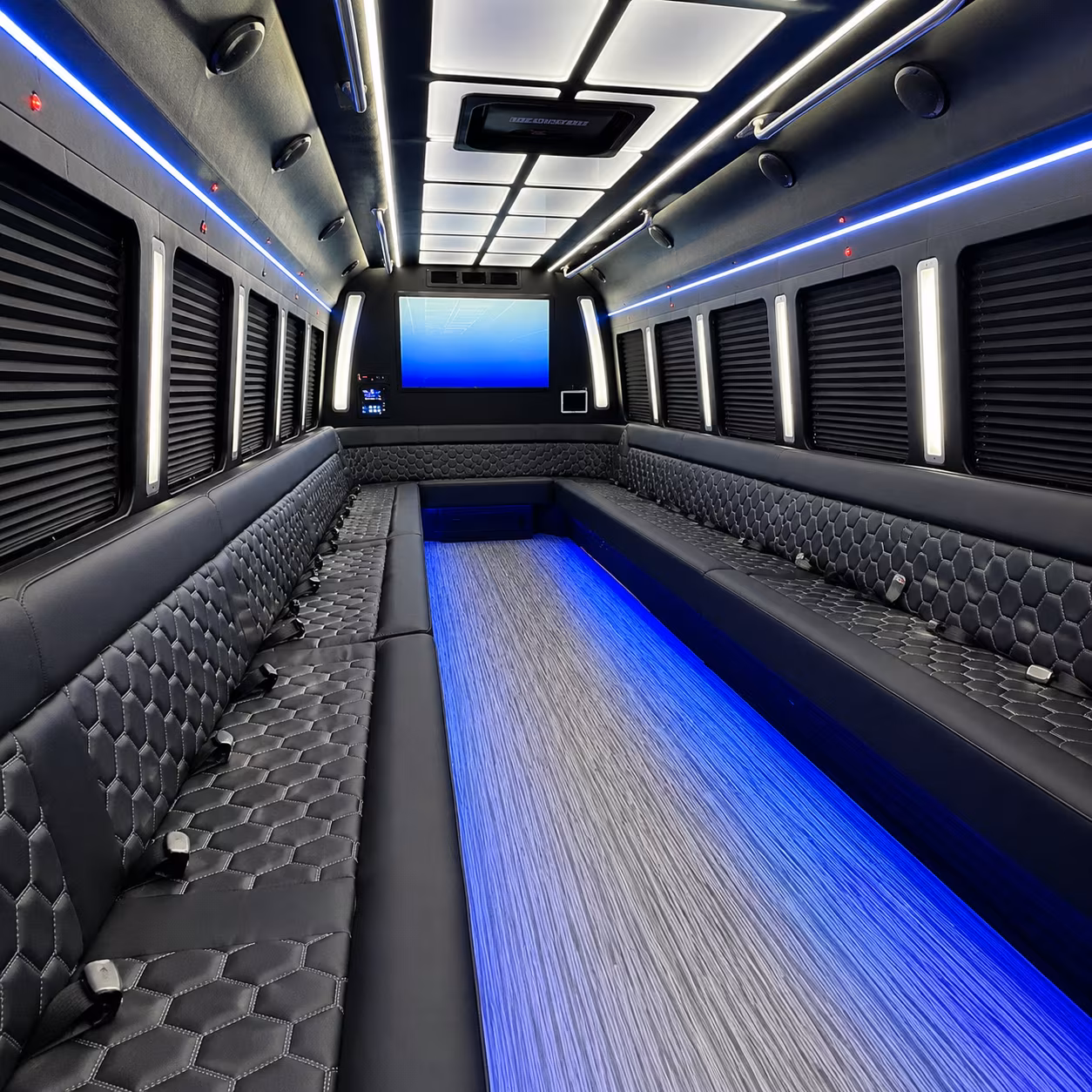lehi party bus inside